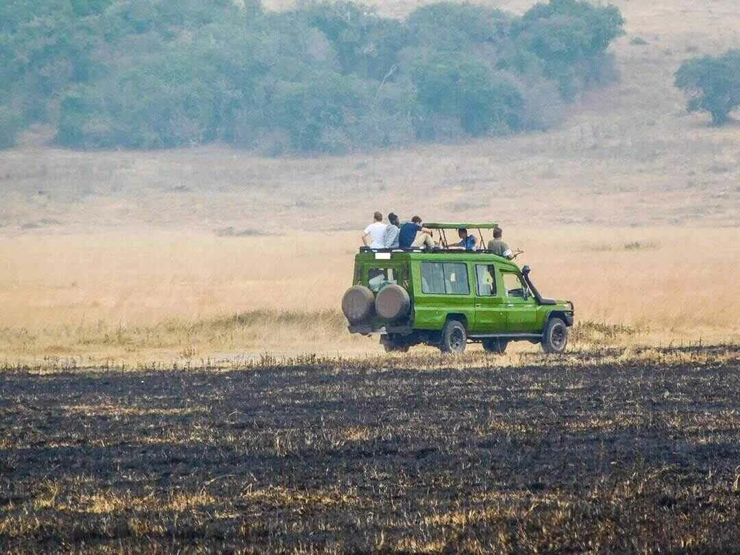 safari in rwanda